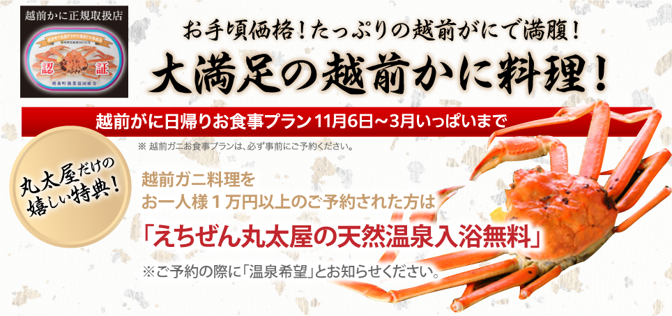 大満足の越前かに料理!