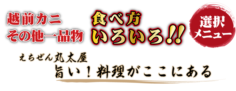 平日昼食 夕食毎日 限定!!越前カニ単品料理