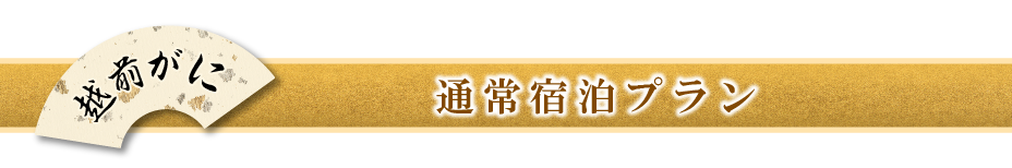 通常宿泊プラン