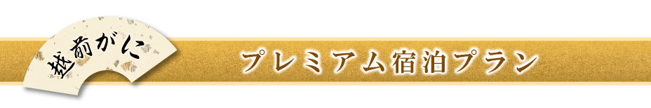 プレミアム宿泊プラン